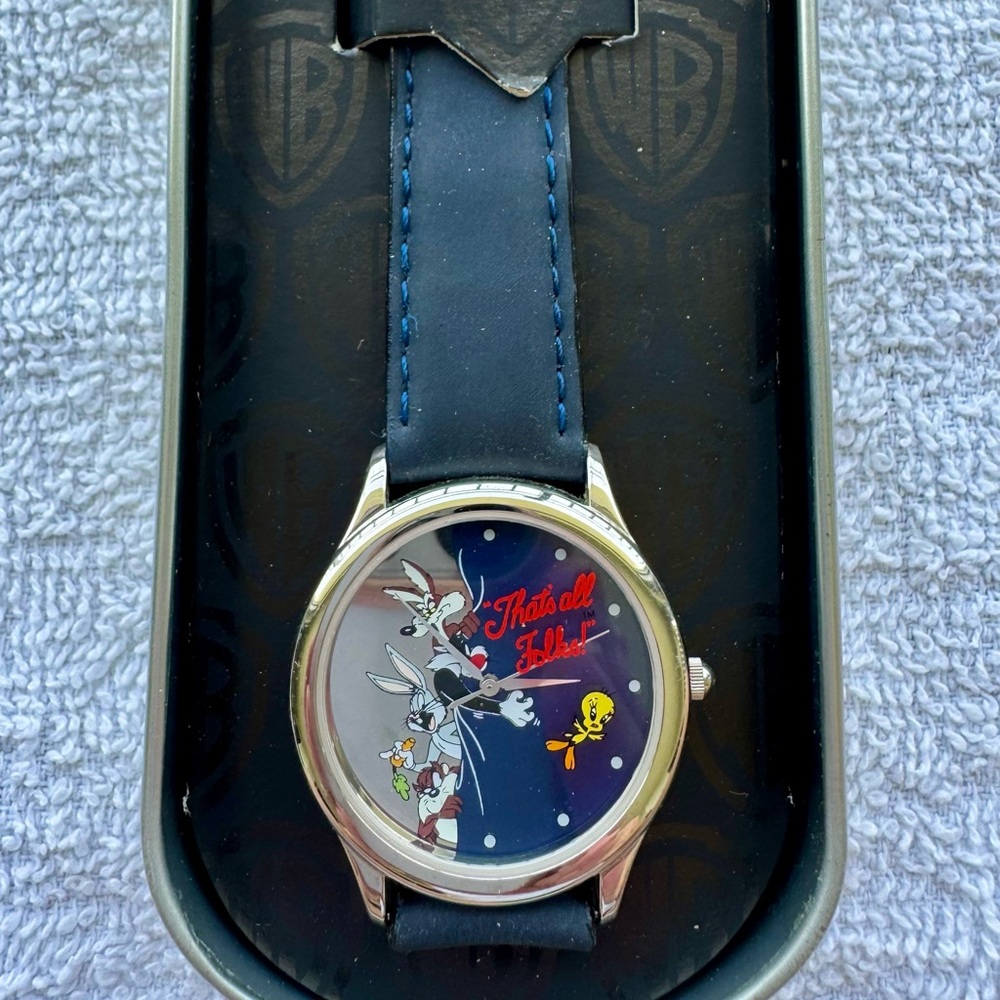 Vintage 1993 Looney Tunes Warner Brothers watch